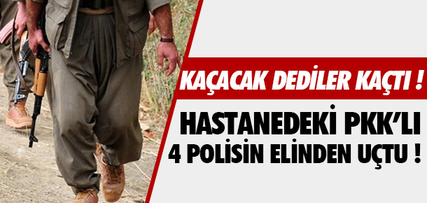 PKK Varto’da askere alma şubesi açtı - Resim : 4