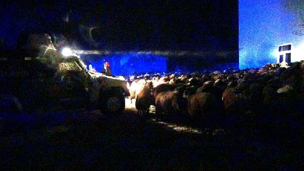 Kars'ta Tipiye Yakalanan 5 Çoban Kurtarıldı, 1 Çoban Kayıp