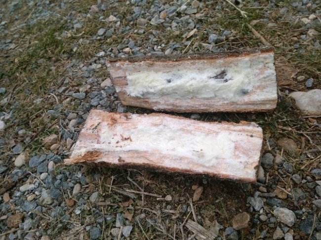 Malatya’da Odun İçerisine Yerleştirilen Bomba Patladı: 7 Yaralı