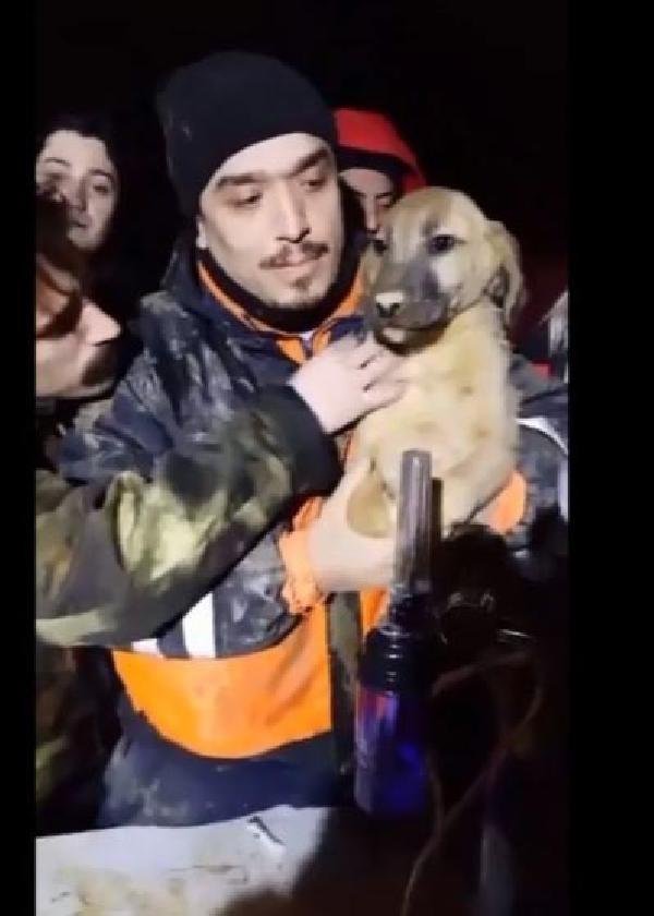 Kuyuya düşen köpek 10 gün sonra kurtarıldı